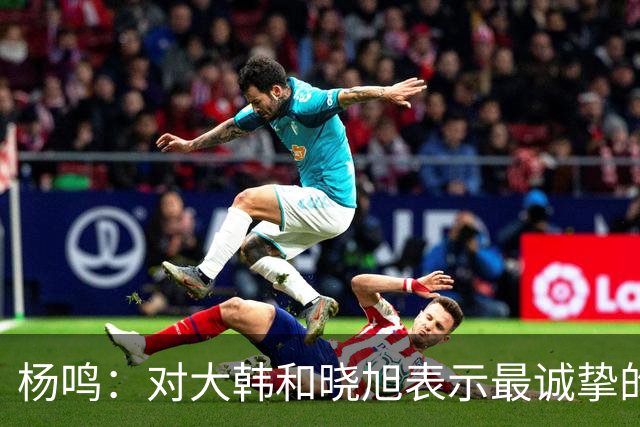 杨鸣：对大韩和晓旭表示最诚挚的感谢和尊重